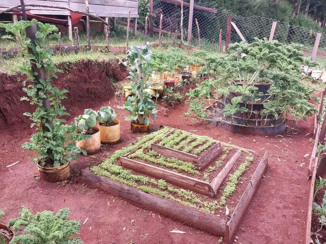 Placeholder — Machakos community farming activity