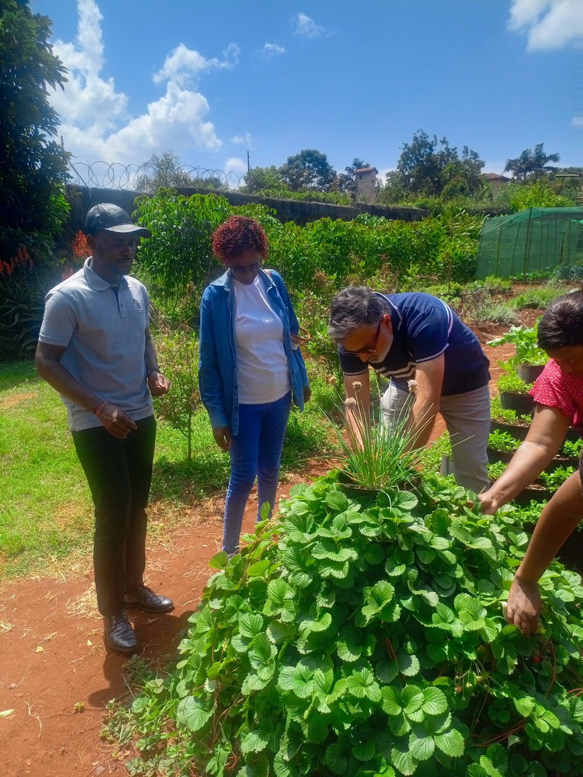 Placeholder — farmer group at a Resilience Centre learning session